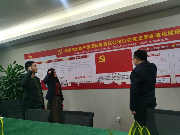 安徽鹽業(yè)地產(chǎn)集團(tuán)機(jī)關(guān)第一黨支部開(kāi)展“佩黨徽、誦誓詞、贈(zèng)黨章、上黨課”黨員教育活動(dòng)