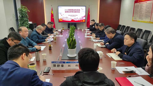 安徽鹽業(yè)地產集團公司黨委召開2020年度民主生活會前征求意見座談會