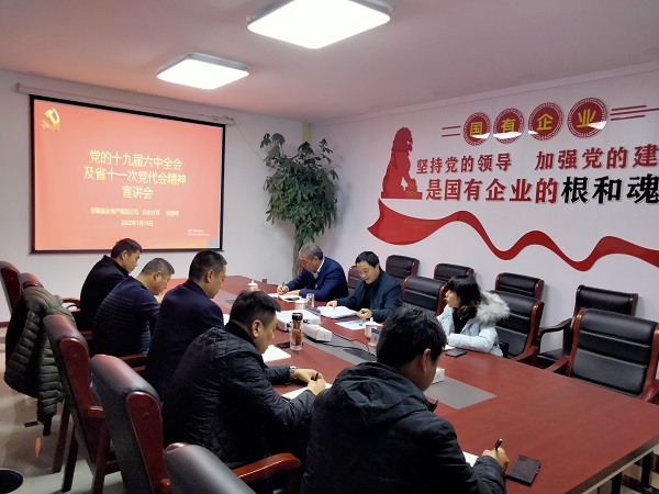 徽鹽地產(chǎn)公司總會計師楊蔚峰到泗縣項目公司宣講十九屆六中全會及省十一次黨代會精神