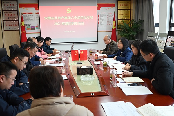 李芳赴徽鹽地產(chǎn)集團六安項目公司黨支部督導2021年度組織生活會